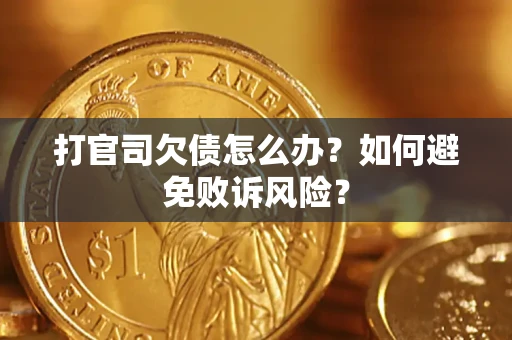 北京打官司欠债怎么办？如何避免败诉风险？