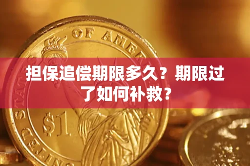 北京担保追偿期限多久？期限过了如何补救？