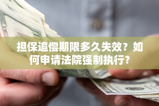 北京担保追偿期限多久失效？如何申请法院强制执行？