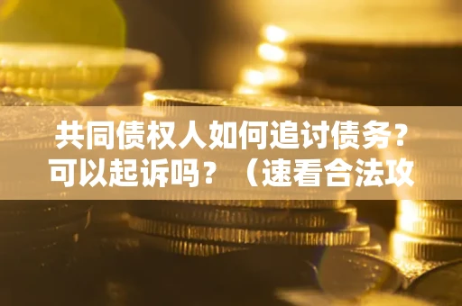 北京共同债权人如何追讨债务？可以起诉吗？（速看合法攻略）